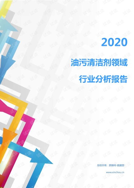 2020年家电家居清洁用品行业油污清洁剂领域行业分析报告 市场调查报告 .pdf